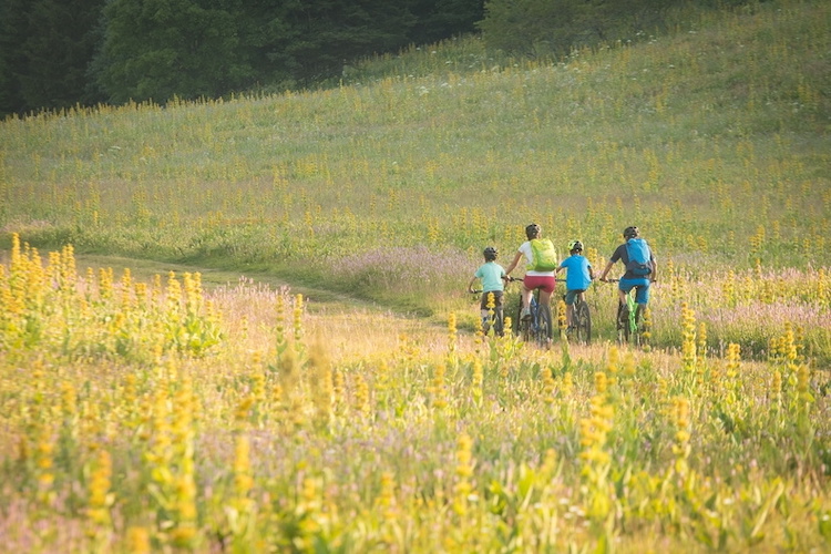 Famille en VTT