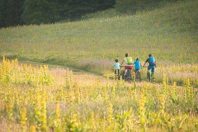 Famille en VTT