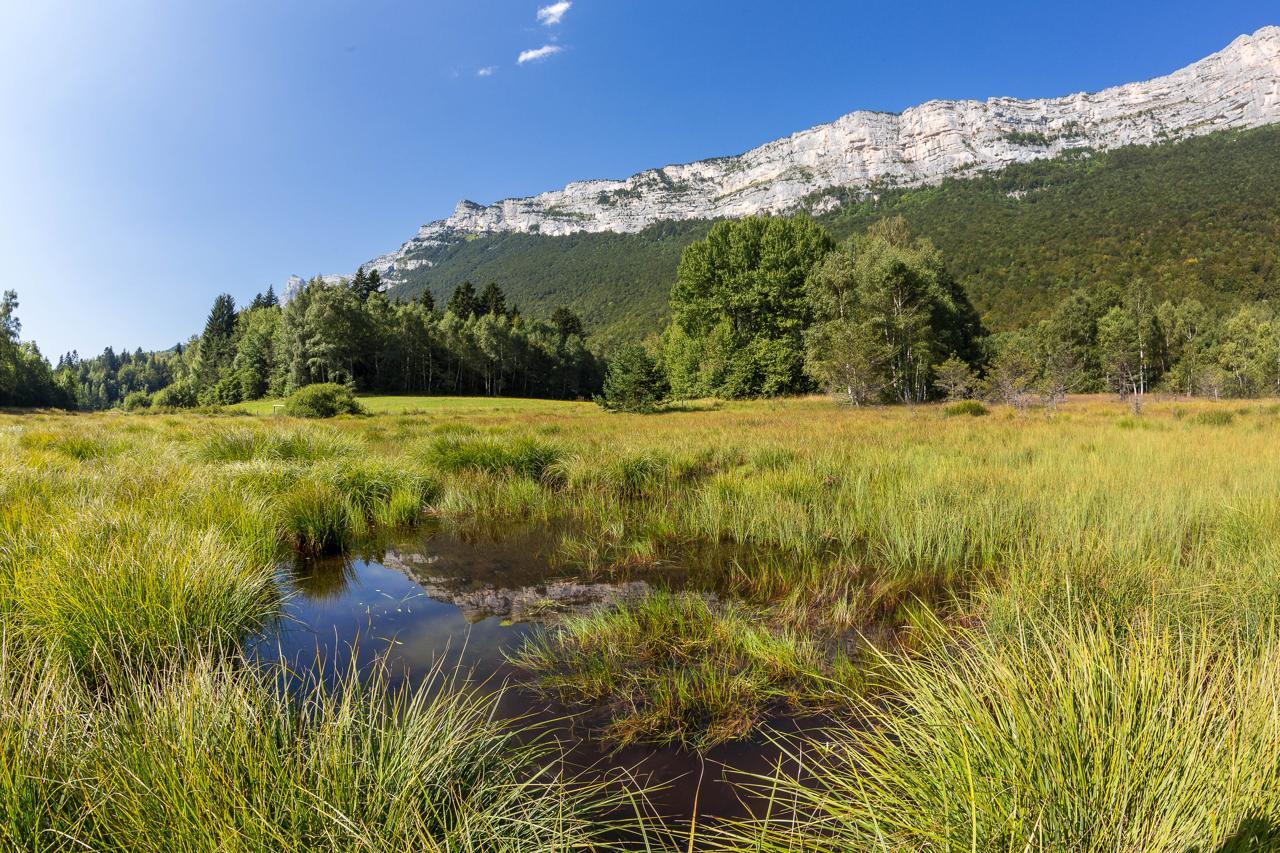 ENS de la Tourbière du Peuil