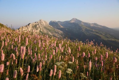 Vue sur les arêtes du Gerbier