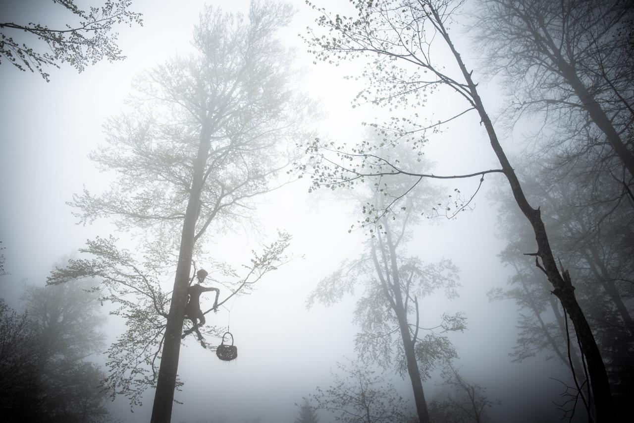 Sentier artistique "Les yeux miroflées"