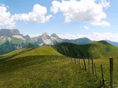 Sur le chemin de Pointe Feuillette