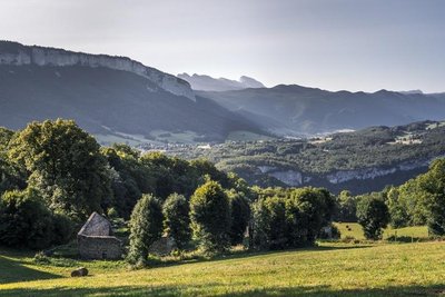 Goulandière